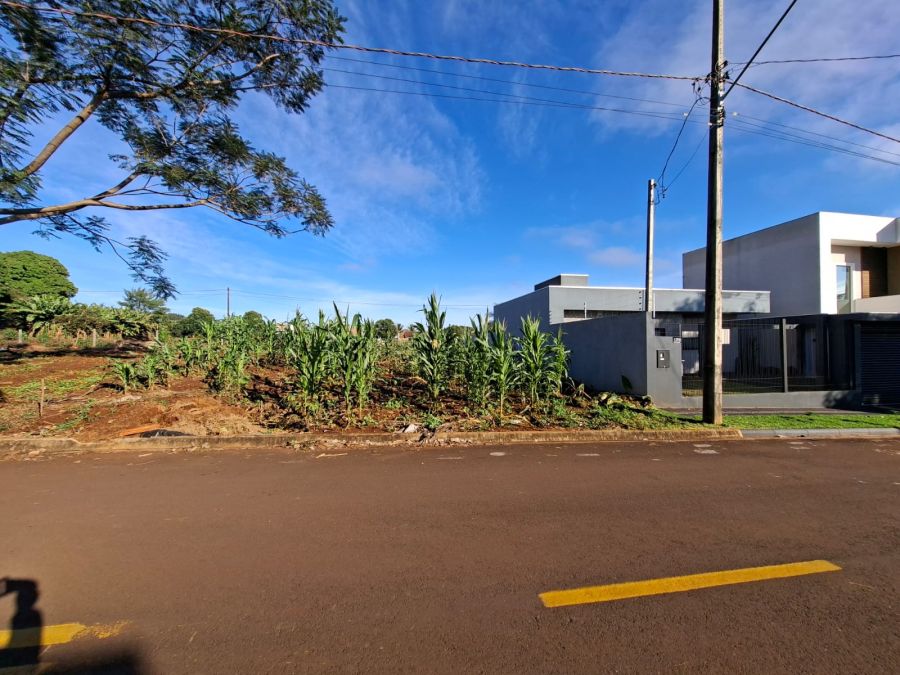 Terreno - Venda - Jardim Social - Palotina - PR
