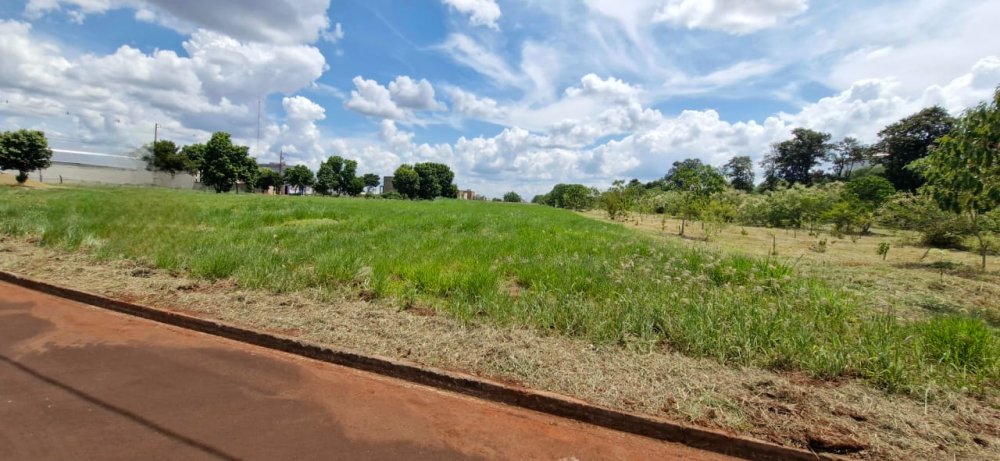 Terreno - Venda - Jardim Diamante - Palotina - PR