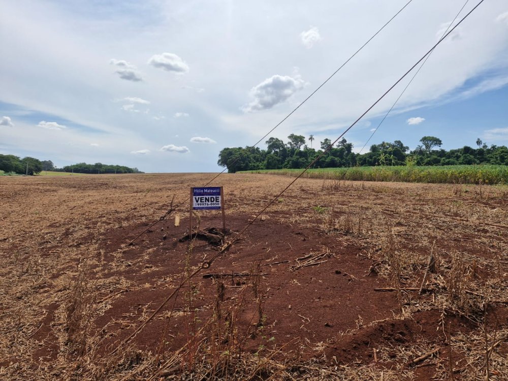 Chcara - Venda - rea Rural - Palotina - PR