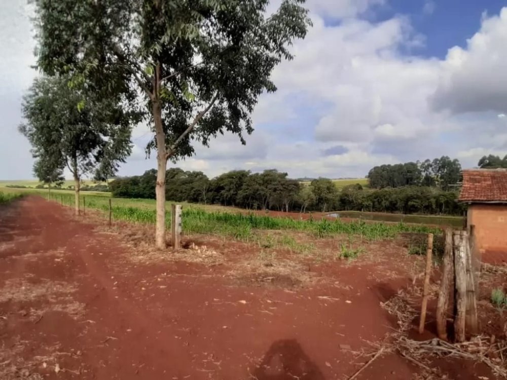 Chcara - Venda - Sitio - Palotina - PR