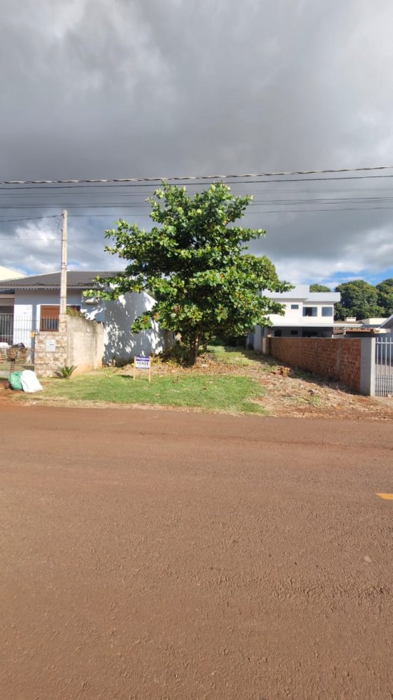 Terreno - Venda - Santa Terezinha - Palotina - PR