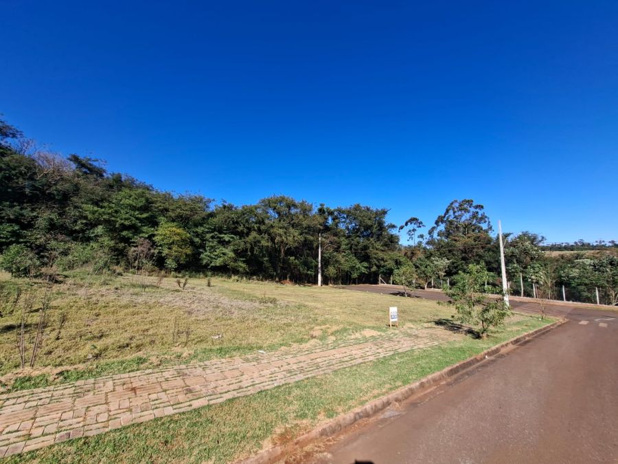 Terreno - Venda - Dallas - Palotina - PR