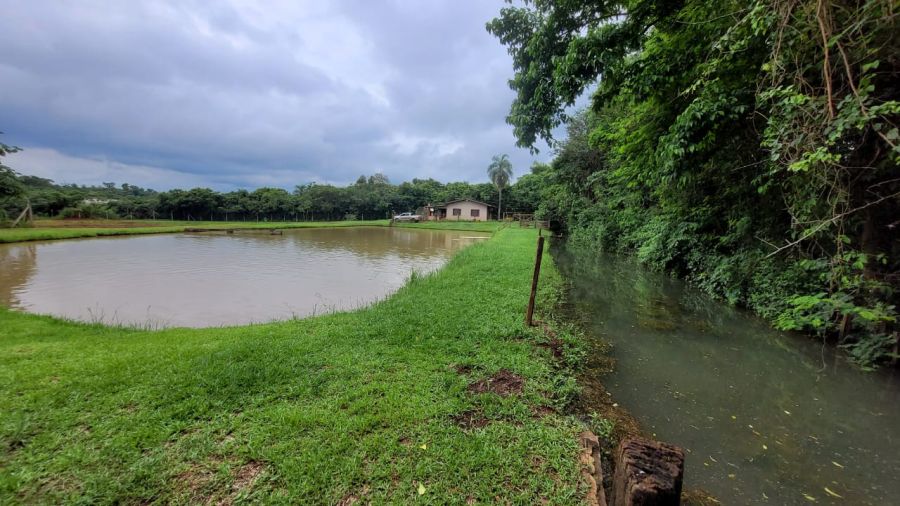 Ch�cara - Venda - Distrito de S�o Jos� - Terra Roxa - PR