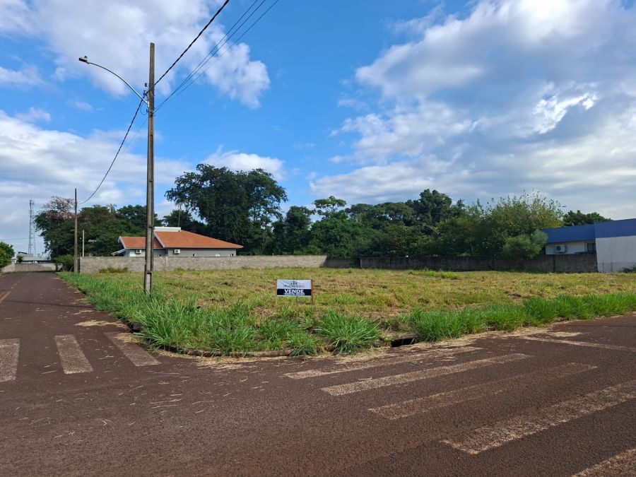 Terreno - Venda - Bela Vista - Palotina - PR