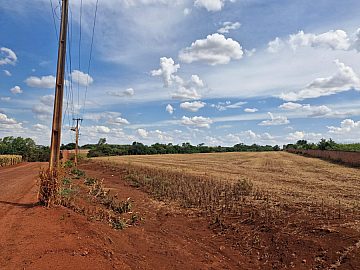 Ch�cara de 26.000 m� pr�ximo � cidade de Palotina ,